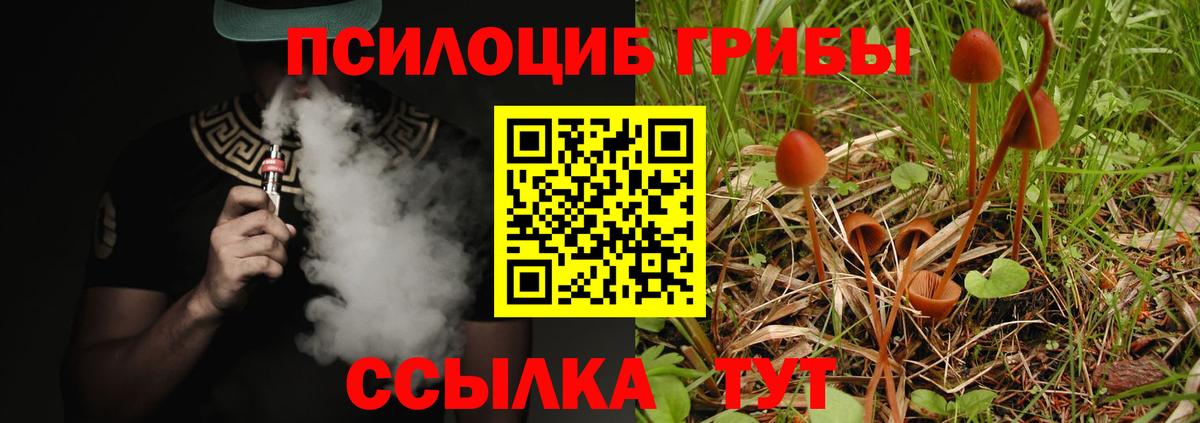 Бийск  Псилоцибиновые грибы Psilocybine cubensis  Вход с VPN 